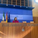 El PSOE-A alerta del pacto entre Moreno Bonilla y Vox para sacar adelante una Ley de “Discordia”, que supone “una falta de respeto” a las familias de represaliados
